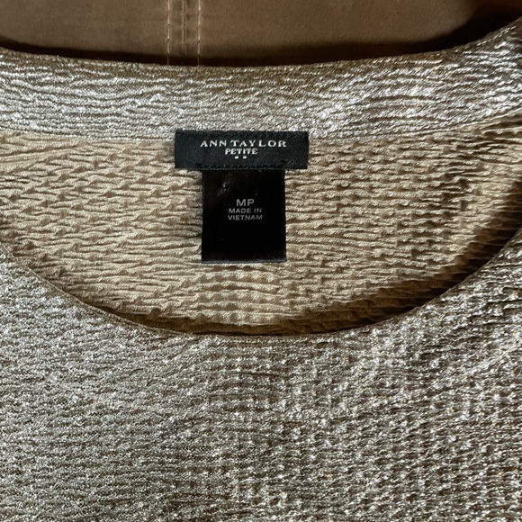 Ann Taylor Silver Sweatshirt (MP) - Picture 2 of 3